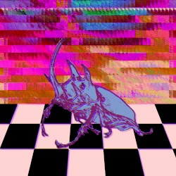 Beetle Shell (remix)