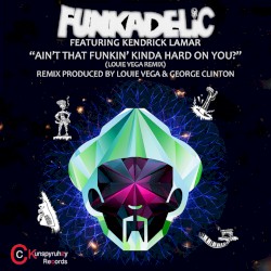 Ain’t That Funkin’ Kinda Hard on You? (Remixes)