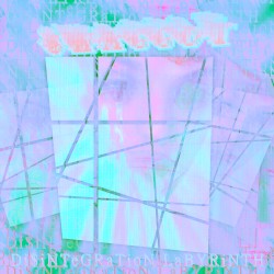 Di$iNTeGRaTioN LaBYRiNTH