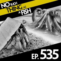 No Such Thing As An Inside-Out Dolphin