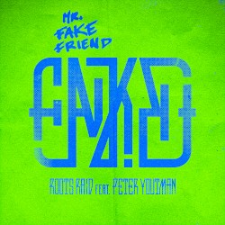 Mr. Fake Friend