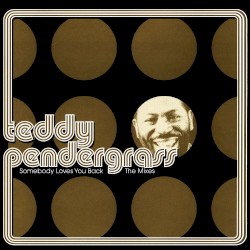 Somebody Loves You Back: The Mixes