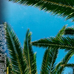 Mood (Felix Cartal's Late Night Mood mix)