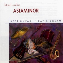 Kedi Rüyası