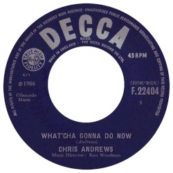 What’cha Gonna Do Now? / Lady Oh Lady