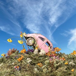 The Rise & Fall of Loverboy