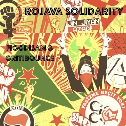 Rojava Solidarity