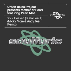 Your Heaven (I Can Feel It) [Micky More & Andy Tee Extended Remix]