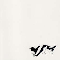 Chiff-Chaffs & Willow Warblers