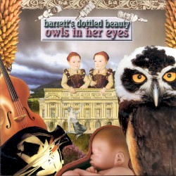 Owls in Her Eyes