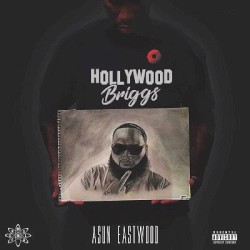 Hollywood Briggs