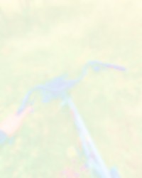 0365