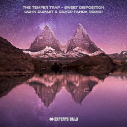 Sweet Disposition (John Summit & Silver Panda remix)