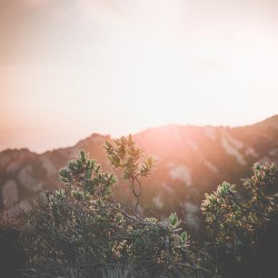 I Knew This Would Be Love (piano)