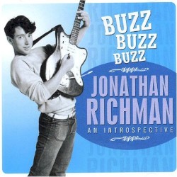 Buzz Buzz Buzz: An Introduction