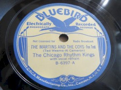 The Martins and the Coys / Sarah Jane