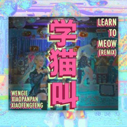 Learn To Meow (Remix)