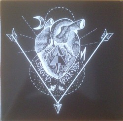 Coilguns / Never Void