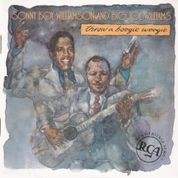 Throw a Boogie Woogie