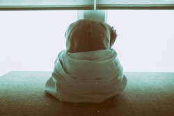 Humanity Is an Attempt to Construct Order Out of the Trauma of Physical Space