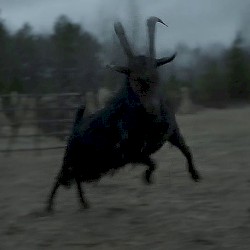 United in Flames 27/11/2018