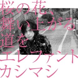 桜の花、舞い上がる道を