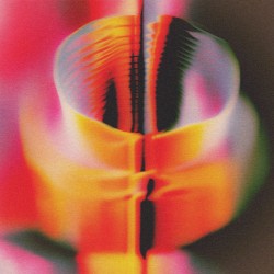 The Calm and The Storm