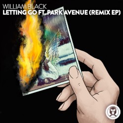 Letting Go (remix EP)
