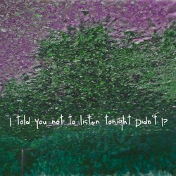 I Told You Not to Listen Tonight Didn't I?