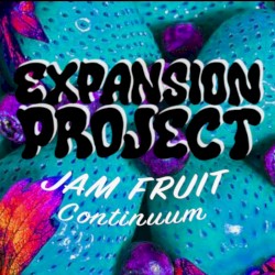 Jam Fruit Continuum