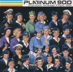 Platinum Airways Flight 900