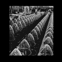 Of Spirit, of Madness