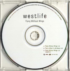 Flying Without Wings