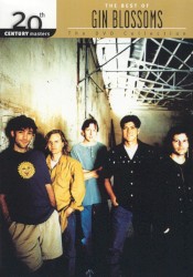 20th Century Masters: The DVD Collection: The Best of Gin Blossoms