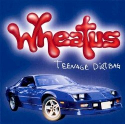 Teenage Dirtbag