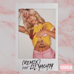 Ain’t My Fault (remix)
