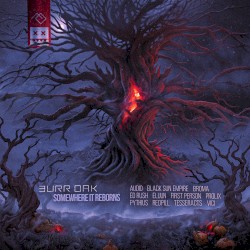 Twain Wolves (Black Sun Empire remix)