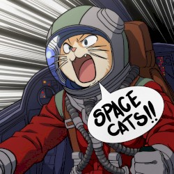 Space Cats