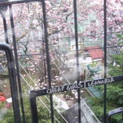 Cheap Girls / Lemuria