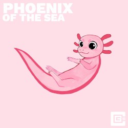 Phoenix of the Sea