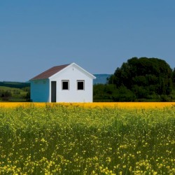 i forgot how to make actual music