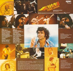 Pure Music