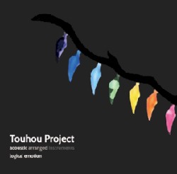 Touhou Project acoustic arranged instruments
