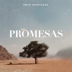 Promesas