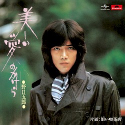 美しい愛のかけら