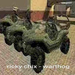 Warthog