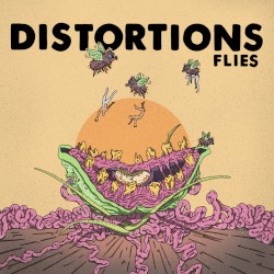 Flies