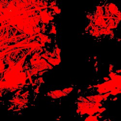 Trichophilia And Other Funny Things