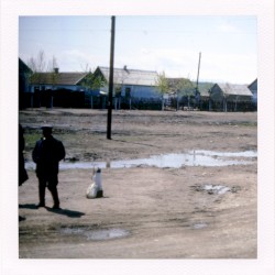 Cherepovets Region Painters