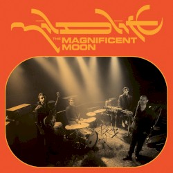 The Magnificent Moon